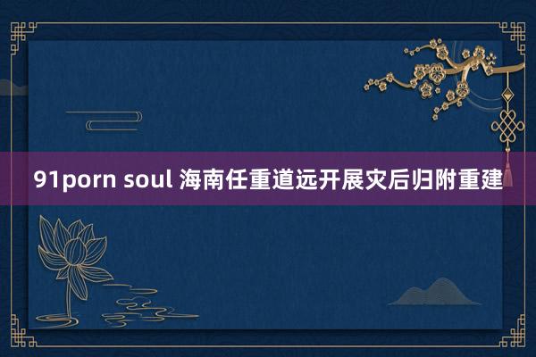 91porn soul 海南任重道远开展灾后归附重建