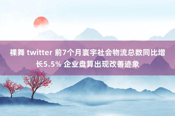 裸舞 twitter 前7个月寰宇社会物流总数同比增长5.5% 企业盘算出现改善迹象