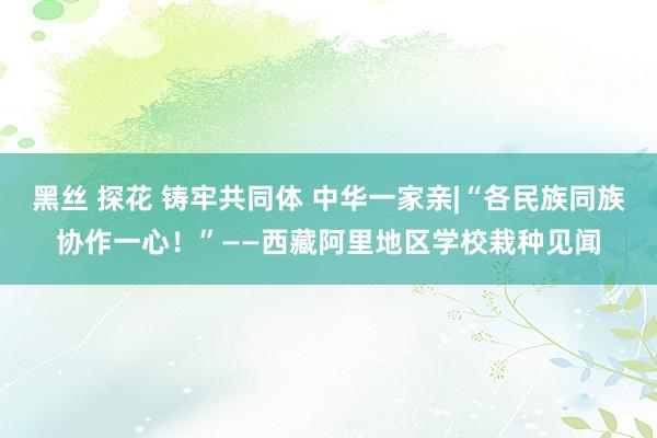 黑丝 探花 铸牢共同体 中华一家亲|“各民族同族协作一心！”——西藏阿里地区学校栽种见闻