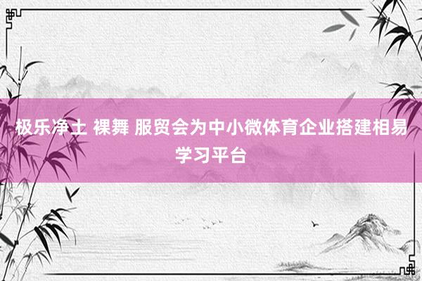 极乐净土 裸舞 服贸会为中小微体育企业搭建相易学习平台