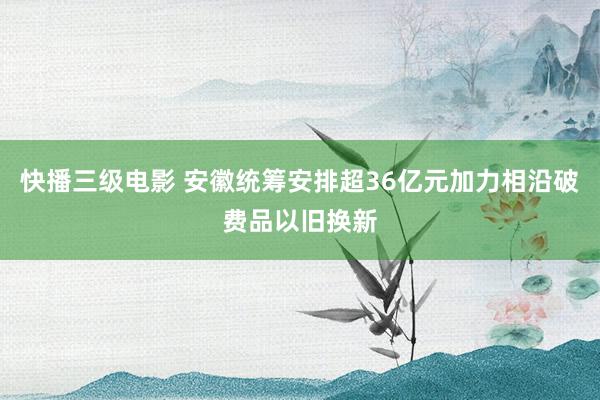 快播三级电影 安徽统筹安排超36亿元加力相沿破费品以旧换新