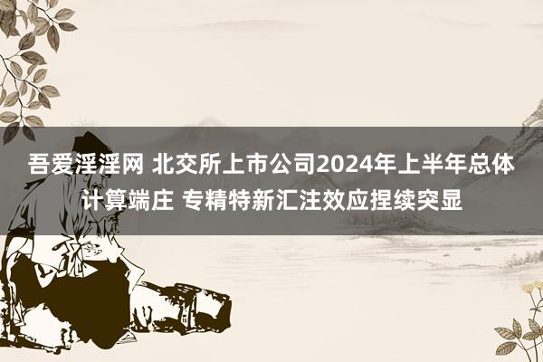 吾爱淫淫网 北交所上市公司2024年上半年总体计算端庄 专精特新汇注效应捏续突显