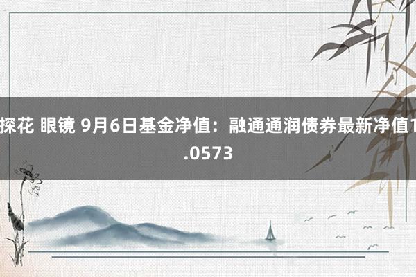 探花 眼镜 9月6日基金净值：融通通润债券最新净值1.0573