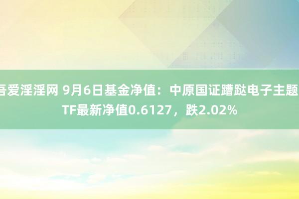 吾爱淫淫网 9月6日基金净值：中原国证蹧跶电子主题ETF最新净值0.6127，跌2.02%