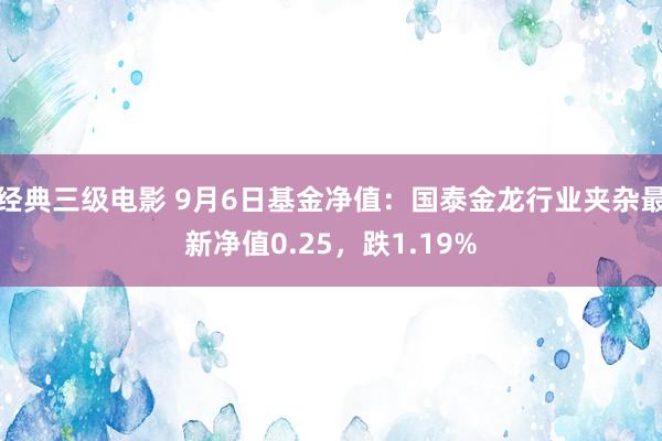 经典三级电影 9月6日基金净值：国泰金龙行业夹杂最新净值0.25，跌1.19%