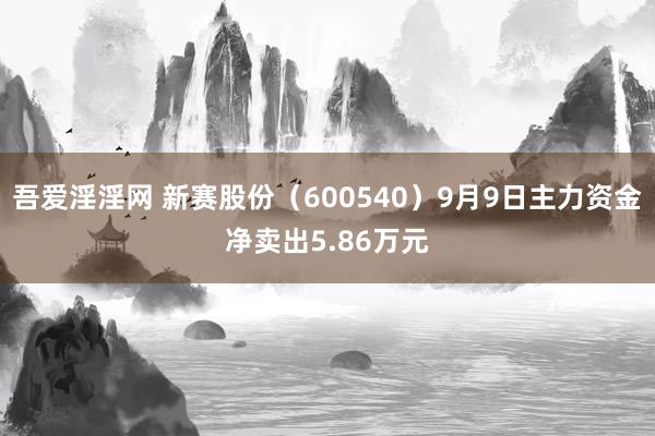 吾爱淫淫网 新赛股份（600540）9月9日主力资金净卖出5.86万元