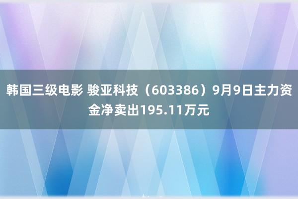 韩国三级电影 骏亚科技（603386）9月9日主力资金净卖出195.11万元