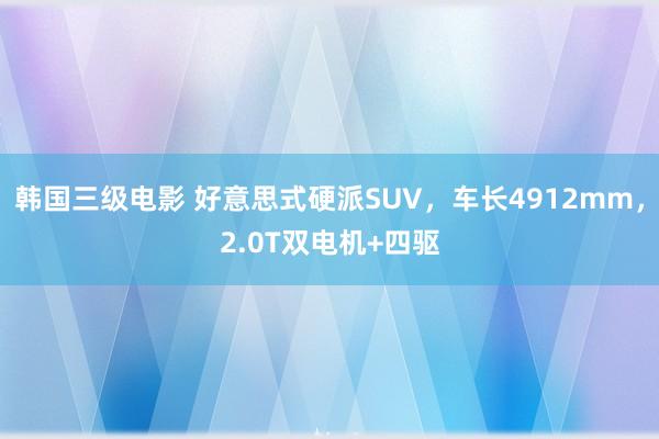 韩国三级电影 好意思式硬派SUV，车长4912mm，2.0T双电机+四驱