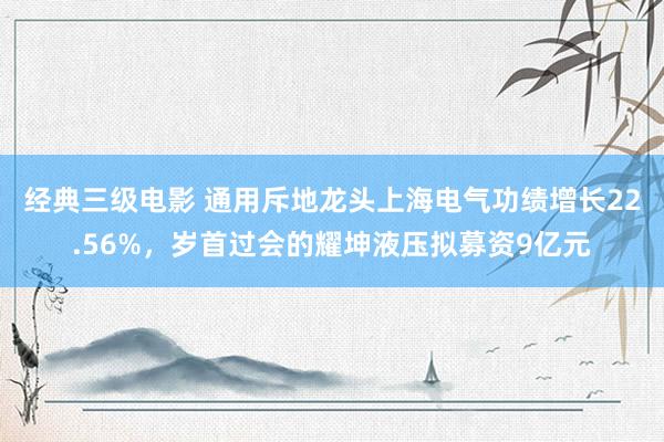 经典三级电影 通用斥地龙头上海电气功绩增长22.56%，岁首过会的耀坤液压拟募资9亿元