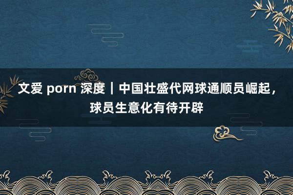 文爱 porn 深度｜中国壮盛代网球通顺员崛起，球员生意化有待开辟