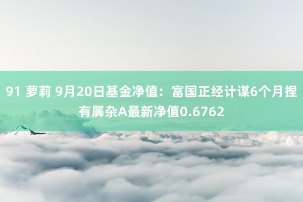 91 萝莉 9月20日基金净值：富国正经计谋6个月捏有羼杂A最新净值0.6762