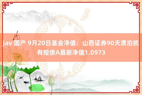 jav 国产 9月20日基金净值：山西证券90天漂泊抓有短债A最新净值1.0973