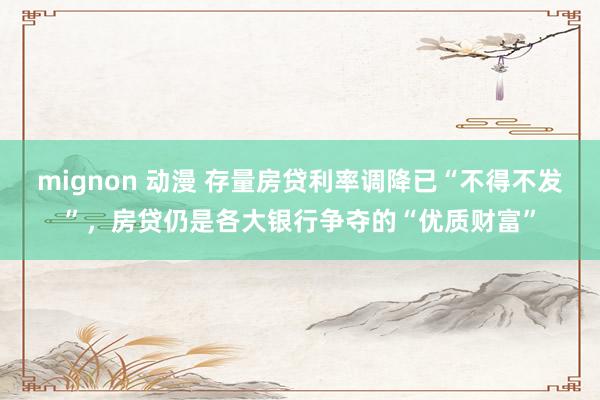 mignon 动漫 存量房贷利率调降已“不得不发”，房贷仍是各大银行争夺的“优质财富”