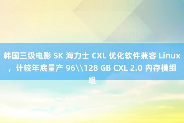 韩国三级电影 SK 海力士 CXL 优化软件兼容 Linux，计较年底量产 96\128 GB CXL 2.0 内存模组