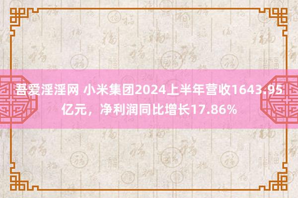 吾爱淫淫网 小米集团2024上半年营收1643.95亿元，净利润同比增长17.86%