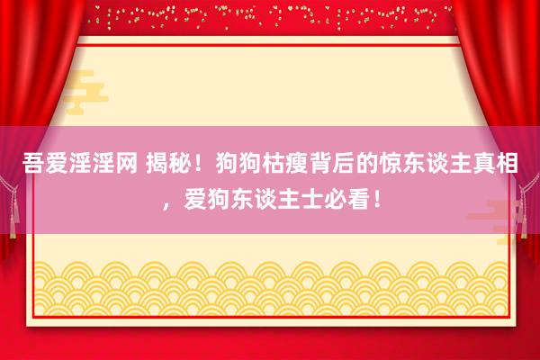 吾爱淫淫网 揭秘！狗狗枯瘦背后的惊东谈主真相，爱狗东谈主士必看！