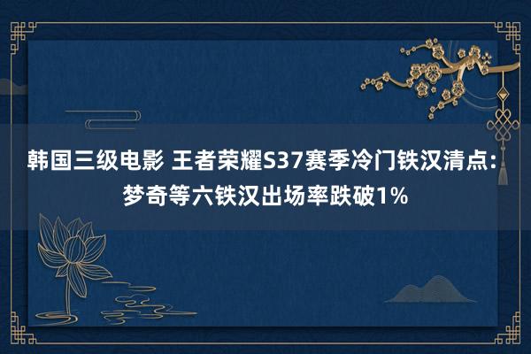 韩国三级电影 王者荣耀S37赛季冷门铁汉清点: 梦奇等六铁汉出场率跌破1%