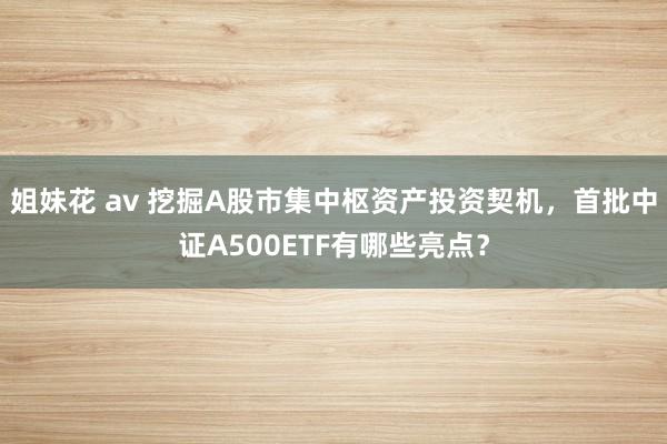 姐妹花 av 挖掘A股市集中枢资产投资契机，首批中证A500ETF有哪些亮点？