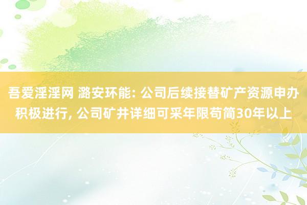 吾爱淫淫网 潞安环能: 公司后续接替矿产资源申办积极进行, 公司矿井详细可采年限苟简30年以上