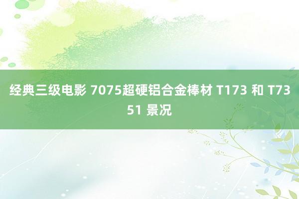 经典三级电影 7075超硬铝合金棒材 T173 和 T7351 景况