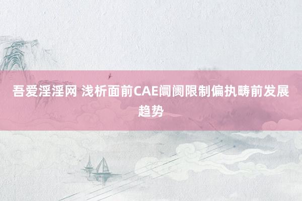 吾爱淫淫网 浅析面前CAE阛阓限制偏执畴前发展趋势