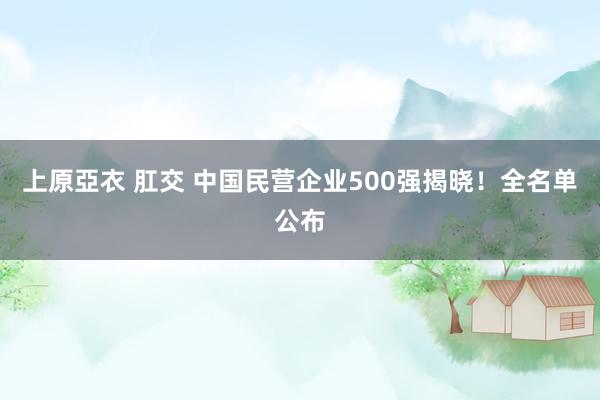 上原亞衣 肛交 中国民营企业500强揭晓！全名单公布