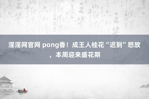 淫淫网官网 pong香！成王人桂花“迟到”怒放，本周迎来盛花期