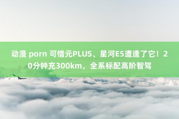 动漫 porn 可惜元PLUS、星河E5遭逢了它！20分钟充300km，全系标配高阶智驾