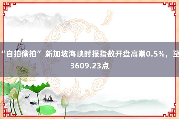 “自拍偷拍” 新加坡海峡时报指数开盘高潮0.5%，至3609.23点