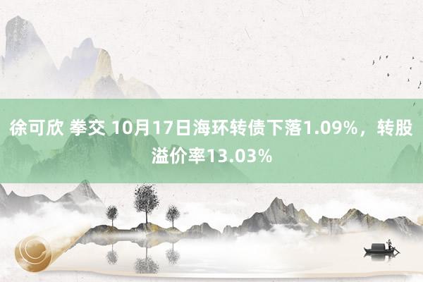 徐可欣 拳交 10月17日海环转债下落1.09%，转股溢价率13.03%