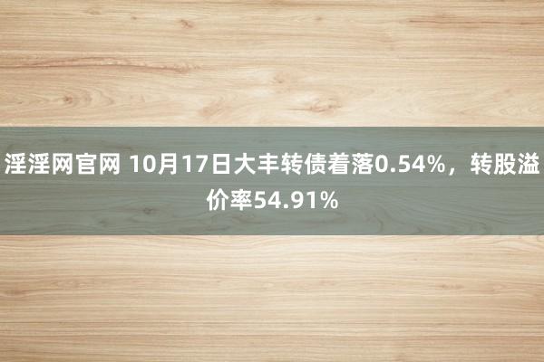 淫淫网官网 10月17日大丰转债着落0.54%，转股溢价率54.91%