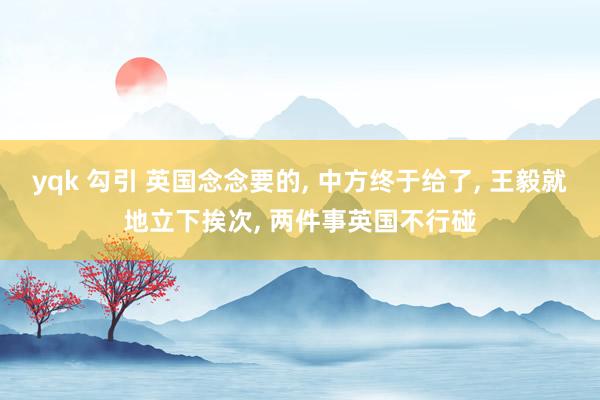 yqk 勾引 英国念念要的, 中方终于给了, 王毅就地立下挨次, 两件事英国不行碰