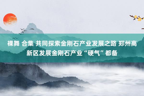 裸舞 合集 共同探索金刚石产业发展之路 郑州高新区发展金刚石产业“硬气”都备