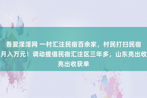 吾爱淫淫网 一村汇注民宿百余家，村民打扫民宿旺季月入万元！调动提倡民宿汇注区三年多，山东亮出收获单