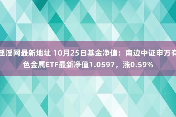 淫淫网最新地址 10月25日基金净值：南边中证申万有色金属ETF最新净值1.0597，涨0.59%