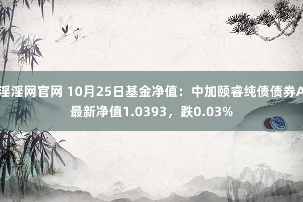 淫淫网官网 10月25日基金净值：中加颐睿纯债债券A最新净值1.0393，跌0.03%