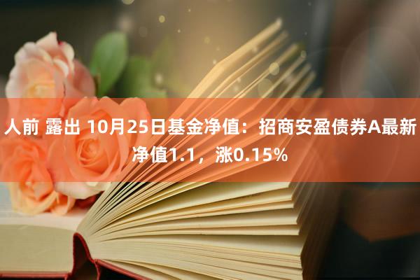 人前 露出 10月25日基金净值：招商安盈债券A最新净值1.1，涨0.15%