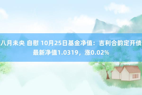 八月未央 自慰 10月25日基金净值：吉利合韵定开债最新净值1.0319，涨0.02%