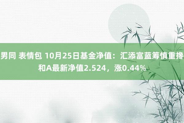 男同 表情包 10月25日基金净值：汇添富蓝筹慎重搀和A最新净值2.524，涨0.44%