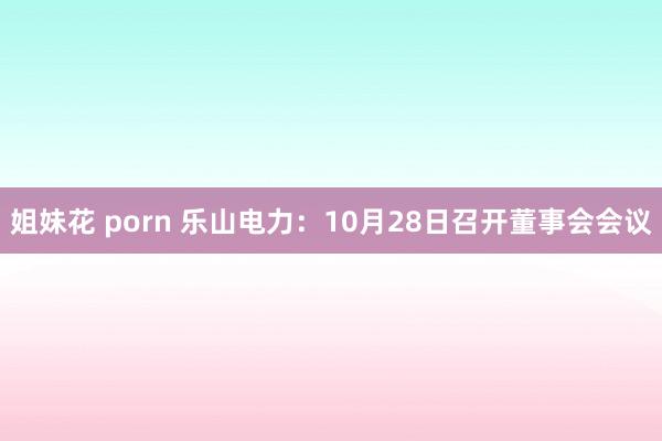 姐妹花 porn 乐山电力：10月28日召开董事会会议