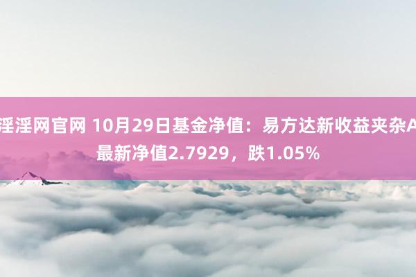 淫淫网官网 10月29日基金净值：易方达新收益夹杂A最新净值2.7929，跌1.05%