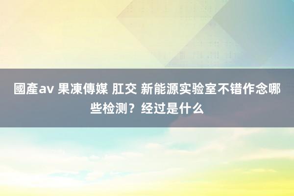 國產av 果凍傳媒 肛交 新能源实验室不错作念哪些检测？经过是什么