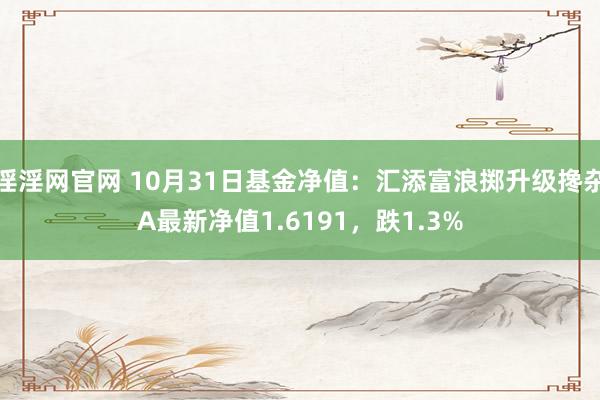 淫淫网官网 10月31日基金净值：汇添富浪掷升级搀杂A最新净值1.6191，跌1.3%