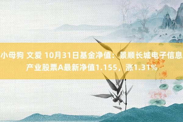 小母狗 文爱 10月31日基金净值：景顺长城电子信息产业股票A最新净值1.155，涨1.31%