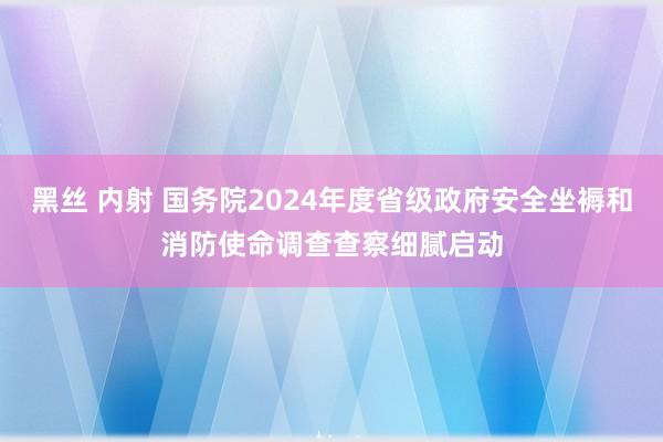 黑丝 内射 国务院2024年度省级政府安全坐褥和消防使命调查查察细腻启动