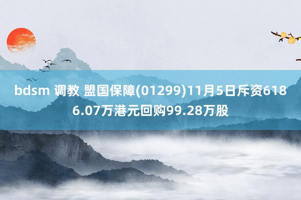 bdsm 调教 盟国保障(01299)11月5日斥资6186.07万港元回购99.28万股