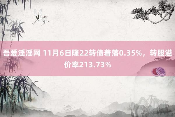 吾爱淫淫网 11月6日隆22转债着落0.35%，转股溢价率213.73%