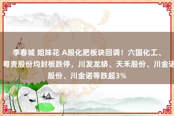 李春城 姐妹花 A股化肥板块回调！六国化工、辉隆股份、粤贵股份均封板跌停，川发龙蟒、天禾股份、川金诺等跌超3%