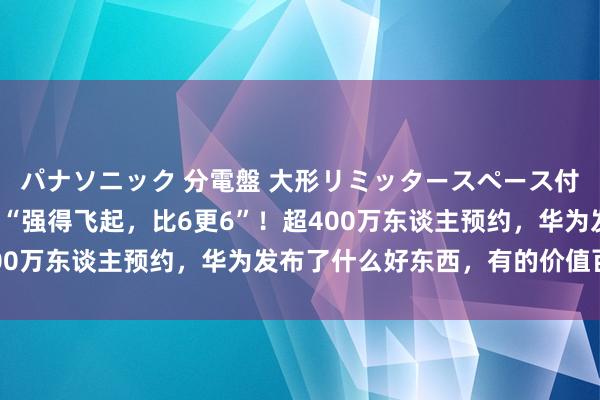 パナソニック 分電盤 大形リミッタースペース付 露出・半埋込両用形 “强得飞起，比6更6”！超400万东谈主预约，华为发布了什么好东西，有的价值百万？