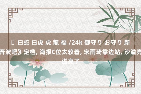 ✨白蛇 白虎 虎 龍 福 /24k 御守り お守り 新《奔波吧》定档, 海报C位太较着, 宋雨琦靠边站, 沙溢亮了